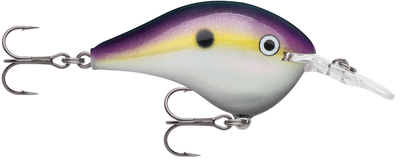 Rapala DT08 (Dives to 8ft) 5cm Crankbait Fishing Lure