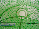 HOOK_309tosrw