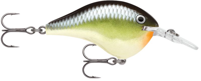Rapala DT08 (Dives to 8ft) 5cm Crankbait Fishing Lure