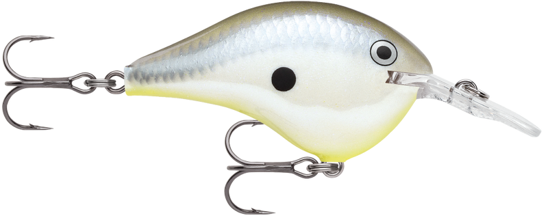 Rapala DT08 (Dives to 8ft) 5cm Crankbait Fishing Lure