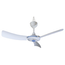 Fantastic 12V Ceiling Fan
