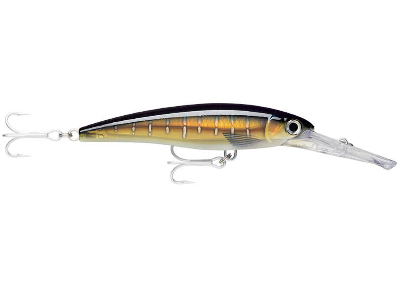18cm Rapala X-Rap Magnum Deep Diving Trolling Lure - Dives to 40 Feet