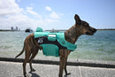 Jet Pilot Pfd Venture Dog Pfd Teal