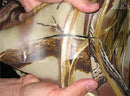 TEAR-AID Fabric Repair Kit - Type A Gold