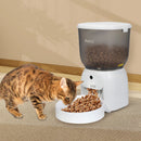 Pawz 4L Auto Pet Feeder Automatic Camera Cat Dog Smart WiFi App Food Dispenser