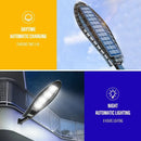 LED Solar Garden Light with Motion Sensor Remote