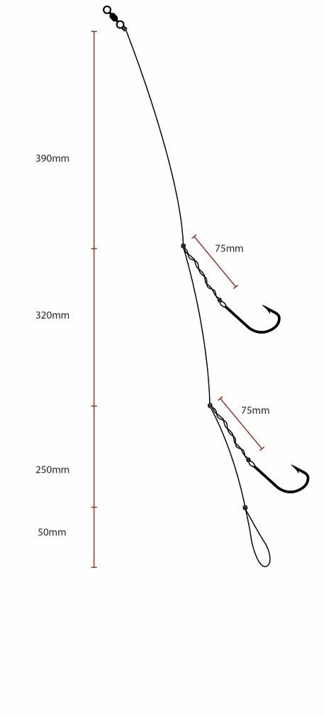 Surecatch Size 3/0 Tangle Free Salmon Rig with Chemically Sharpened Hooks