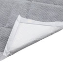 Pawz 400Pcs 60x60cm Charcoal Pet Puppy Dog Toilet Training Pads Ultra Absorbent