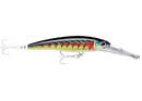 16cm Rapala X-Rap Magnum Deep Diving Trolling Lure - Dives to 30 Feet