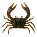 Rapala Crush City 6 Pack of 1.5 Inch Trickster Soft Plastic Lures