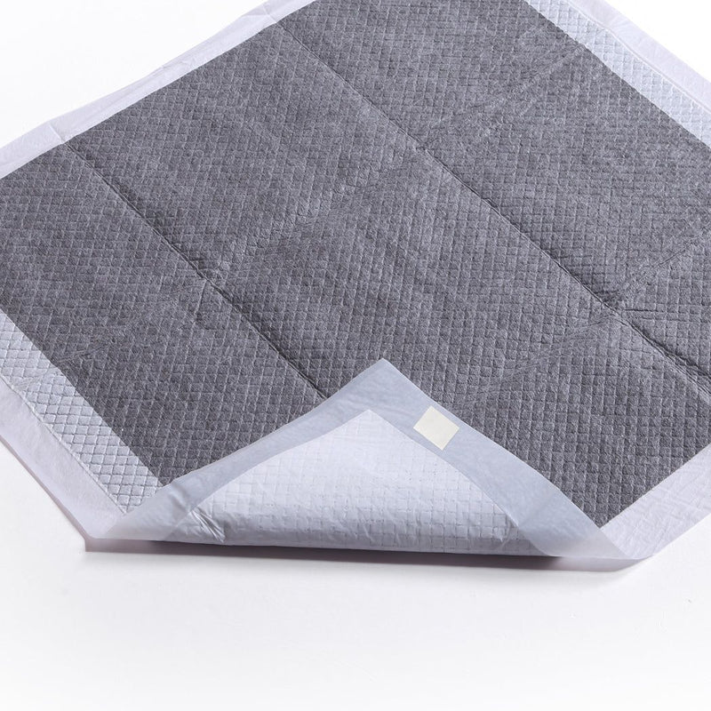 Pawz 400Pcs 60x60cm Charcoal Pet Puppy Dog Toilet Training Pads Ultra Absorbentt