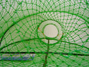 Wilson Folding Opera House Trap-Green Yabbie Net-3 Inch Entry Rings