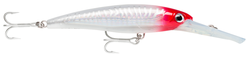 18cm Rapala X-Rap Magnum Deep Diving Trolling Lure - Dives to 40 Feet