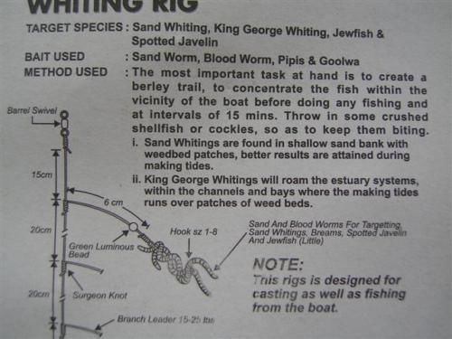 Surecatch Whiting Rig with Size 4 Chemically Sharpened Hooks and Lumo Beads