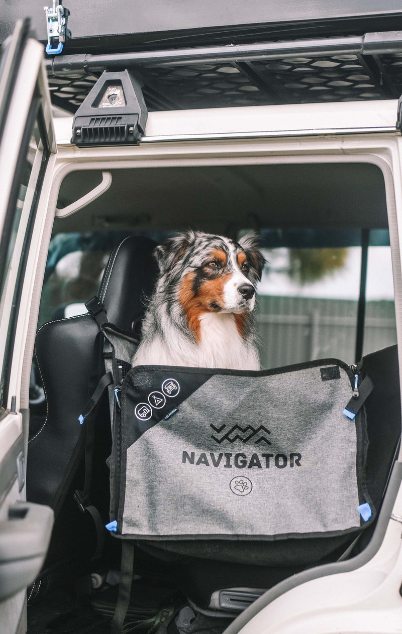 DOG SEAT BUDDY - SINGLE