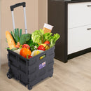 Foldable Shopping Trolley