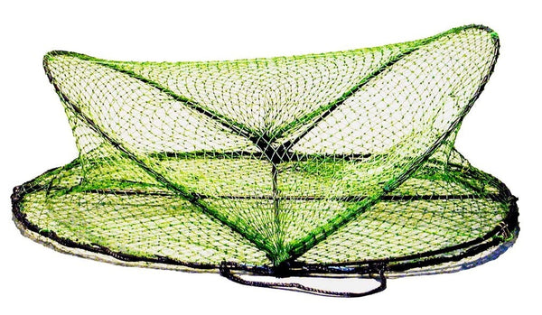 Seahorse Green Opera House Trap with Mesh Entrance Holes (No Rings)