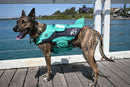 Jet Pilot Pfd Venture Dog Pfd Teal