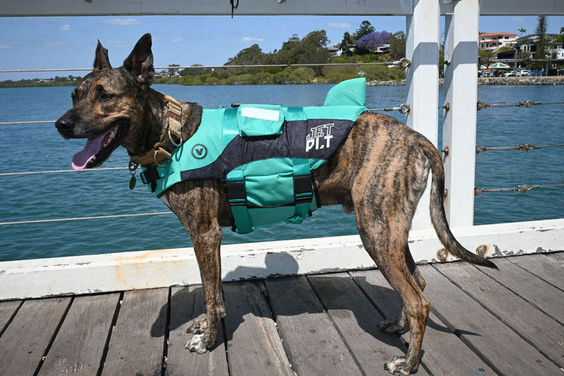 Jet Pilot Pfd Venture Dog Pfd Teal