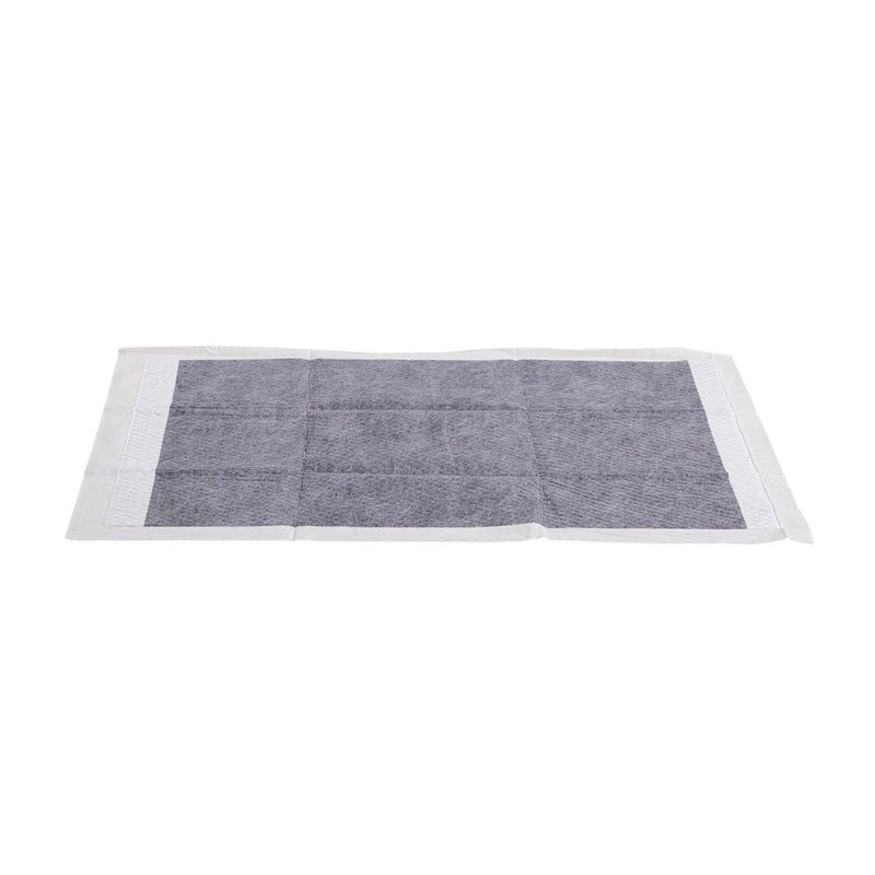 Pawz 400Pcs 60x60cm Charcoal Pet Puppy Dog Toilet Training Pads Ultra Absorbentt