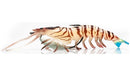 125mm Chasebaits Heavy Flick Prawn Soft Plastic Lure with 15gm Lead Weight