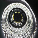 DC 12V Cool White 5m 3528 SMD 300 LED Strip Light