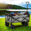 Beach Cart with Cargo Net - Grey