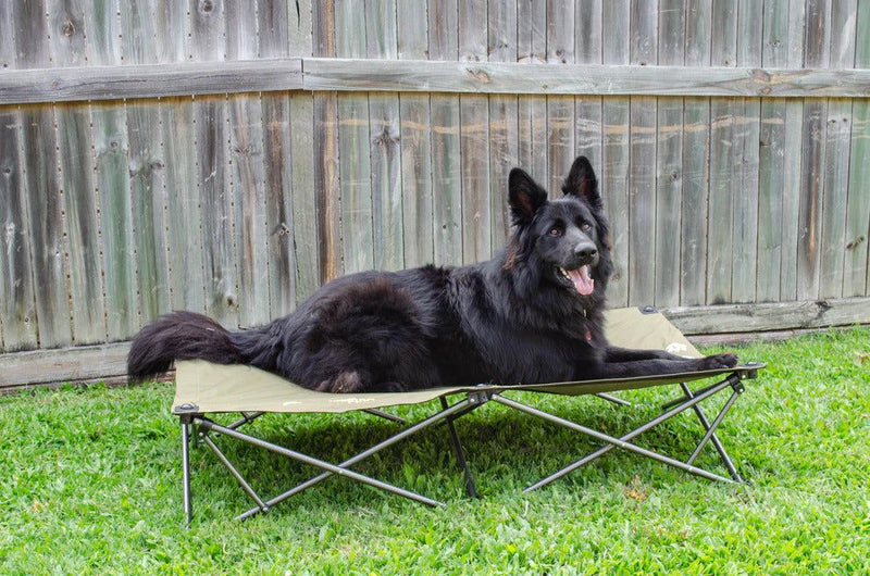 Outdoor Connection Dog Bed XL