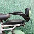 Electric Bicycle Rear Seat Safety Guardrail
