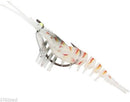 145mm Zerek Live Cherabin Pre Rigged Lumo Eyes Fishing Lure with Bonus Jig Head