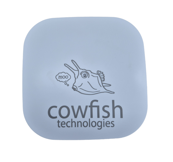 Mini Access Point