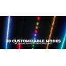 Extreme Whip Kit Qty 2 x 2ft (61cm) plus LEDCast Controller