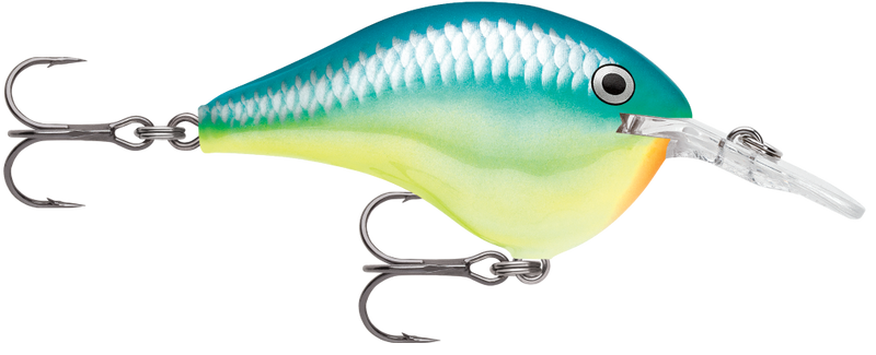 Rapala DT08 (Dives to 8ft) 5cm Crankbait Fishing Lure