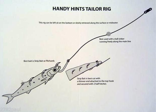 Wilson Tailor Fishing Rig 3x5/0 Hook-Setup - 40lb Clear Mono Leader
