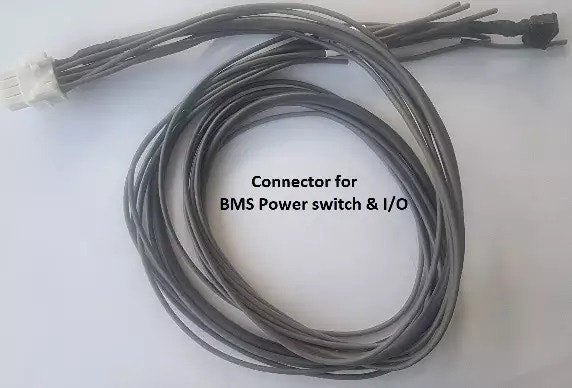 REC 2Q BMS wiring harness