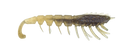 6 Pack of 3 Inch Rapala Crush City The Imposter Soft Plastic Prawn Lures