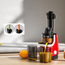 Spector Cold Press Slow Juicer Whole Fruit Juice Extractor Vegetable Processor