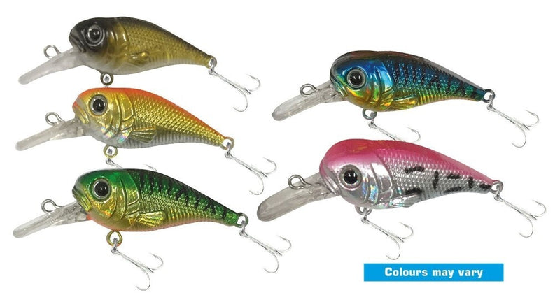 Jarvis Walker 55mm Bass Lure Pack - 5 Pack of Hard Body Fishing Lures