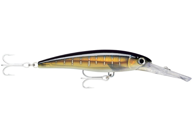 14cm Rapala X-Rap Magnum Deep Diving Trolling Lure - Dives to 20 Feet