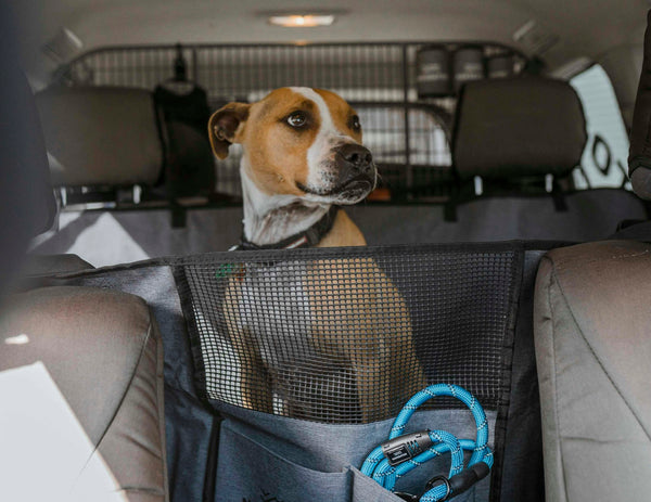 DOG SEAT BUDDY