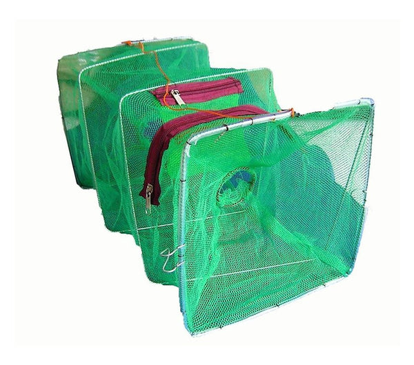 Seahorse Collapsible Shrimp/Bait Trap With 2 Inch Entry Rings