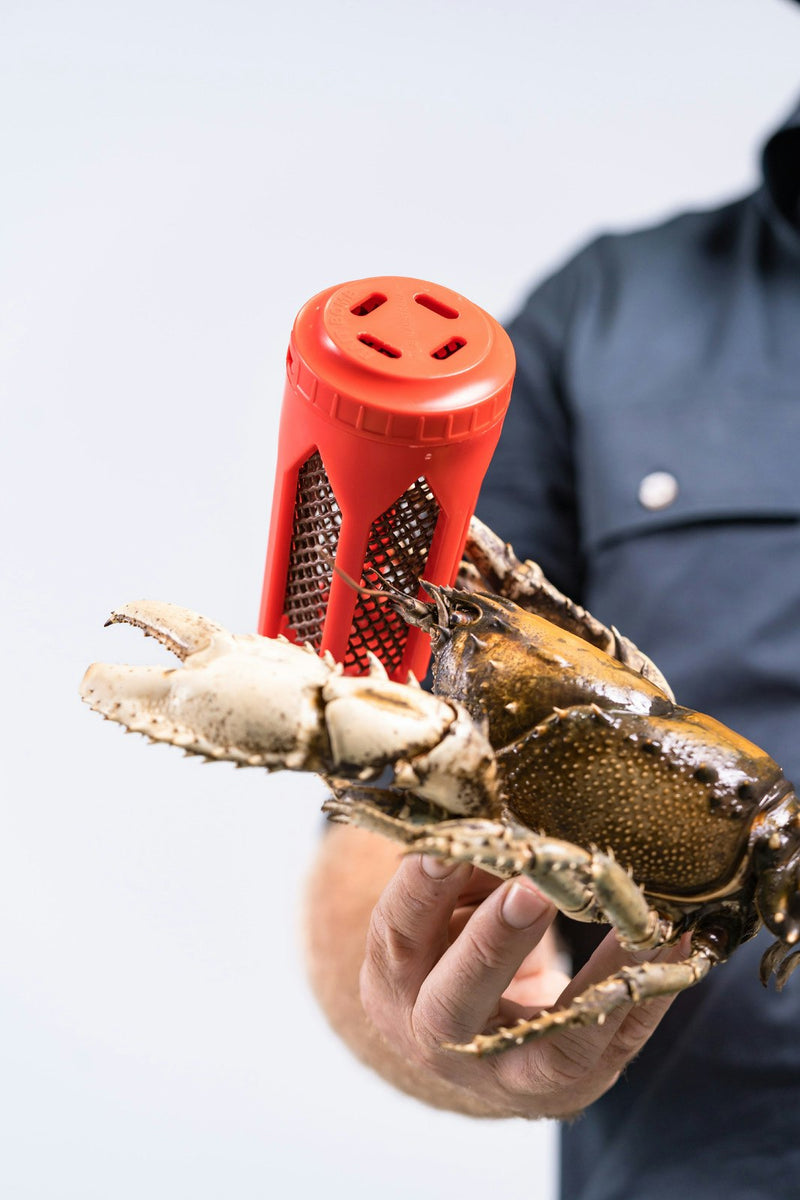 Bait Bomb Plastic Bait Holder For Crab Pots and Yabbie Traps