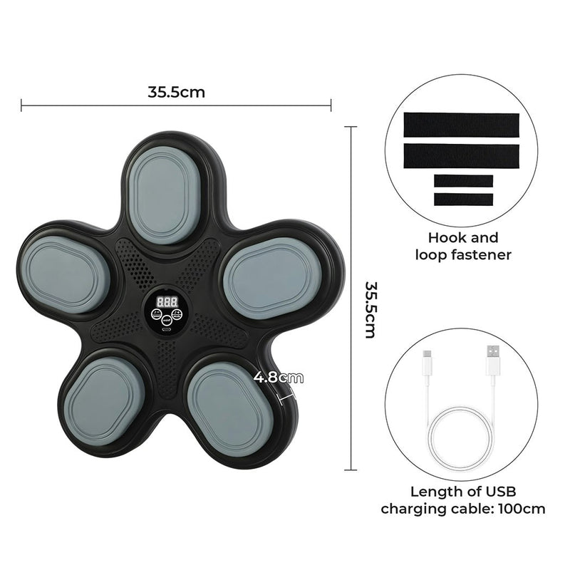 Centra Music Boxing Machine Boxing Gloves Wall Mounted Punching Bluetooth Kids