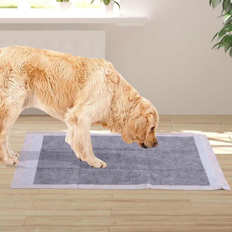 Pawz 400Pcs 60x60cm Charcoal Pet Puppy Dog Toilet Training Pads Ultra Absorbentt