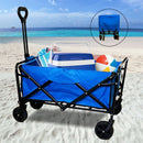 Folding Beach Trolley