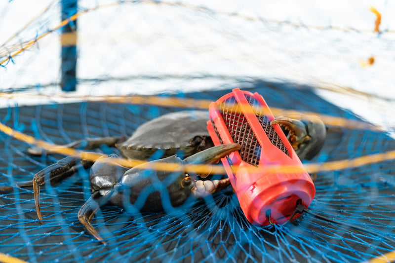 Bait Bomb Plastic Bait Holder For Crab Pots and Yabbie Traps