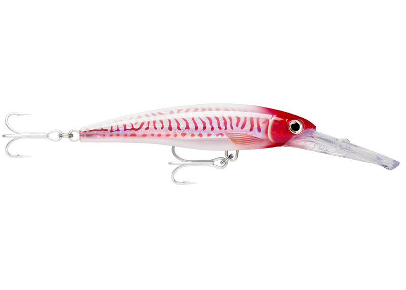 18cm Rapala X-Rap Magnum Deep Diving Trolling Lure - Dives to 40 Feet
