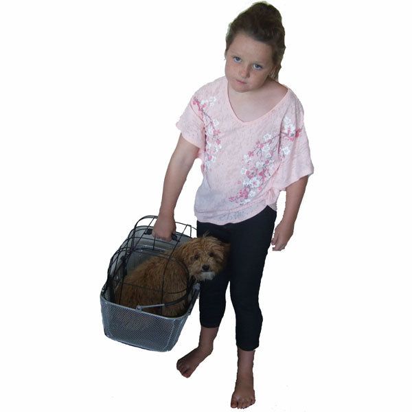 Black Front Mounted Metal Bicycle Pet Basket with Safety Straps