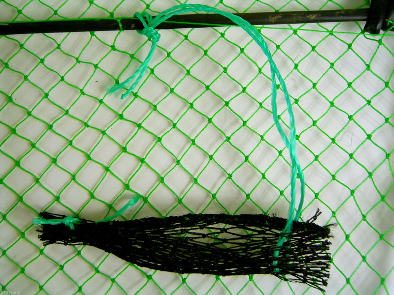 Wilson Folding Opera House Trap-Green Yabbie Net-3 Inch Entry Rings