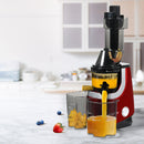 Spector Cold Press Slow Juicer Whole Fruit Juice Extractor Vegetable Processor